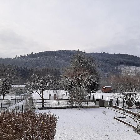 Chez Vovone 3 Etoiles Clevacances Saulxures-sur-Moselotte Exteriér fotografie