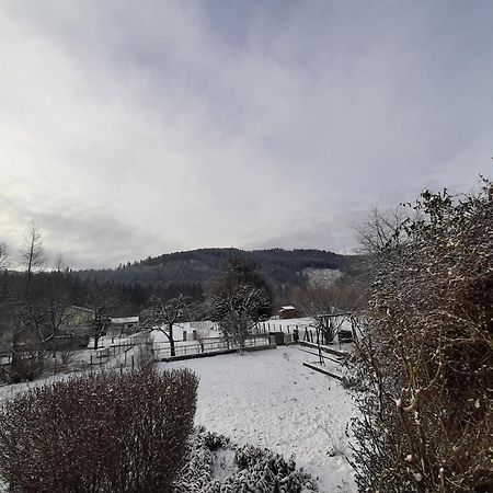 Chez Vovone 3 Etoiles Clevacances Saulxures-sur-Moselotte Exteriér fotografie