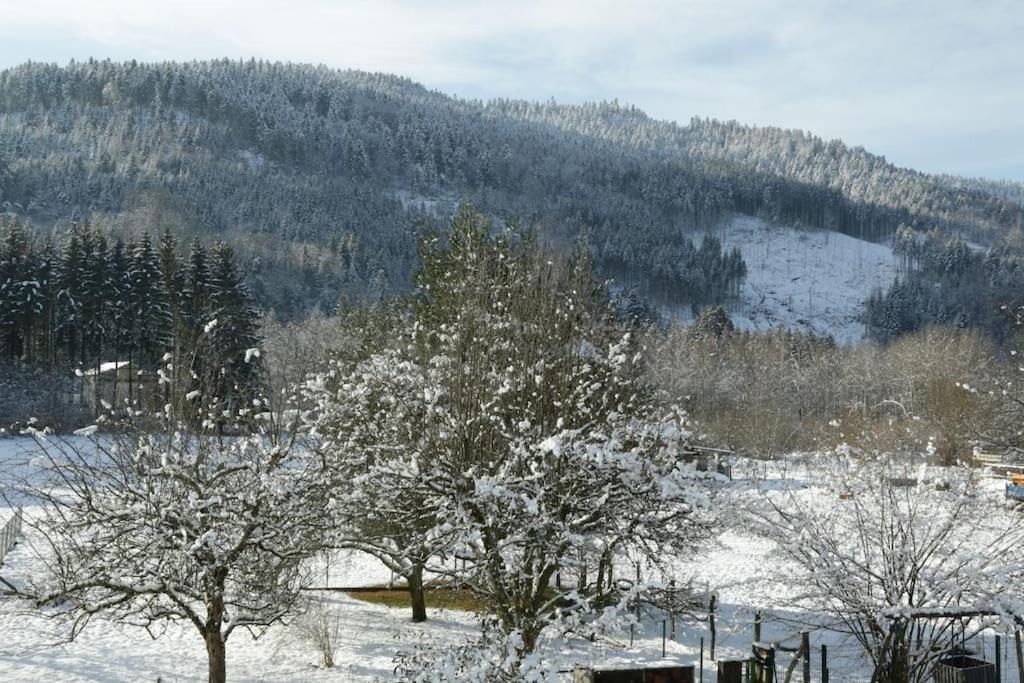 Chez Vovone 3 Etoiles Clevacances Saulxures-sur-Moselotte Exteriér fotografie