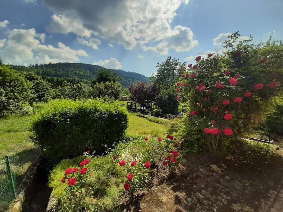 Chez Vovone 3 Etoiles Clevacances Saulxures-sur-Moselotte Exteriér fotografie