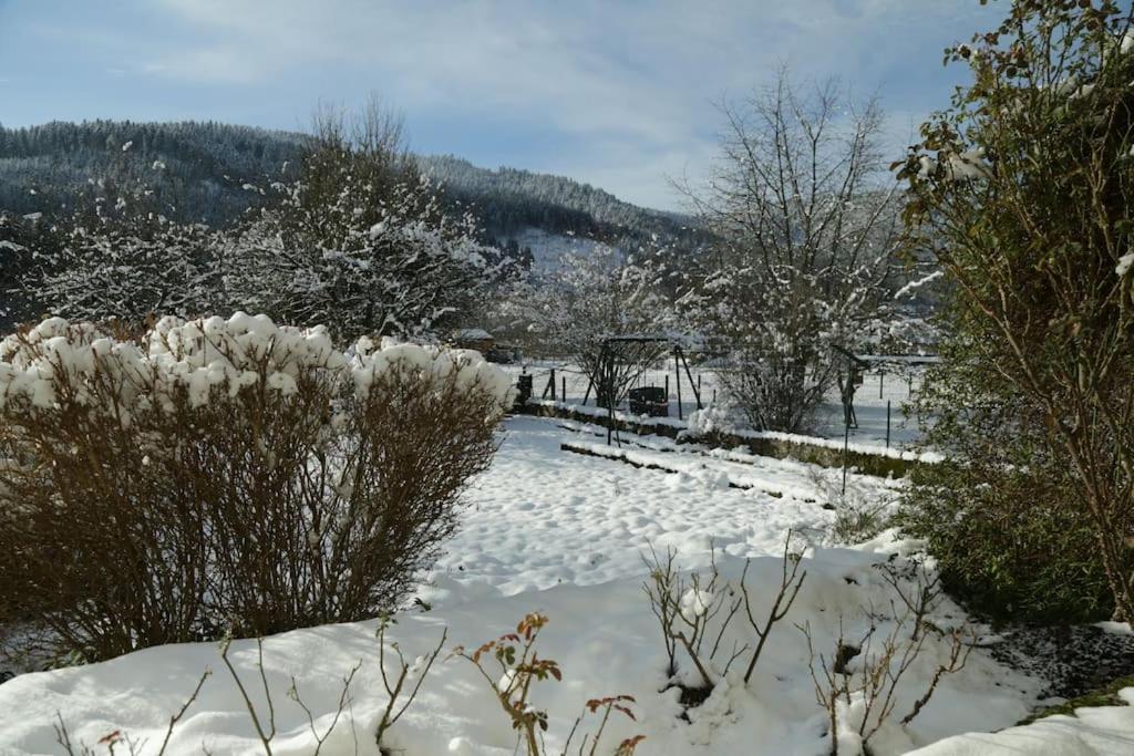 Chez Vovone 3 Etoiles Clevacances Saulxures-sur-Moselotte Exteriér fotografie