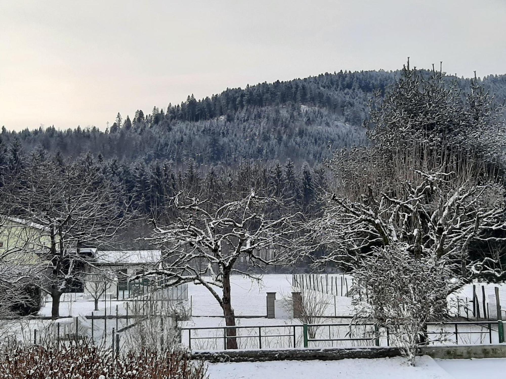 Chez Vovone 3 Etoiles Clevacances Saulxures-sur-Moselotte Exteriér fotografie