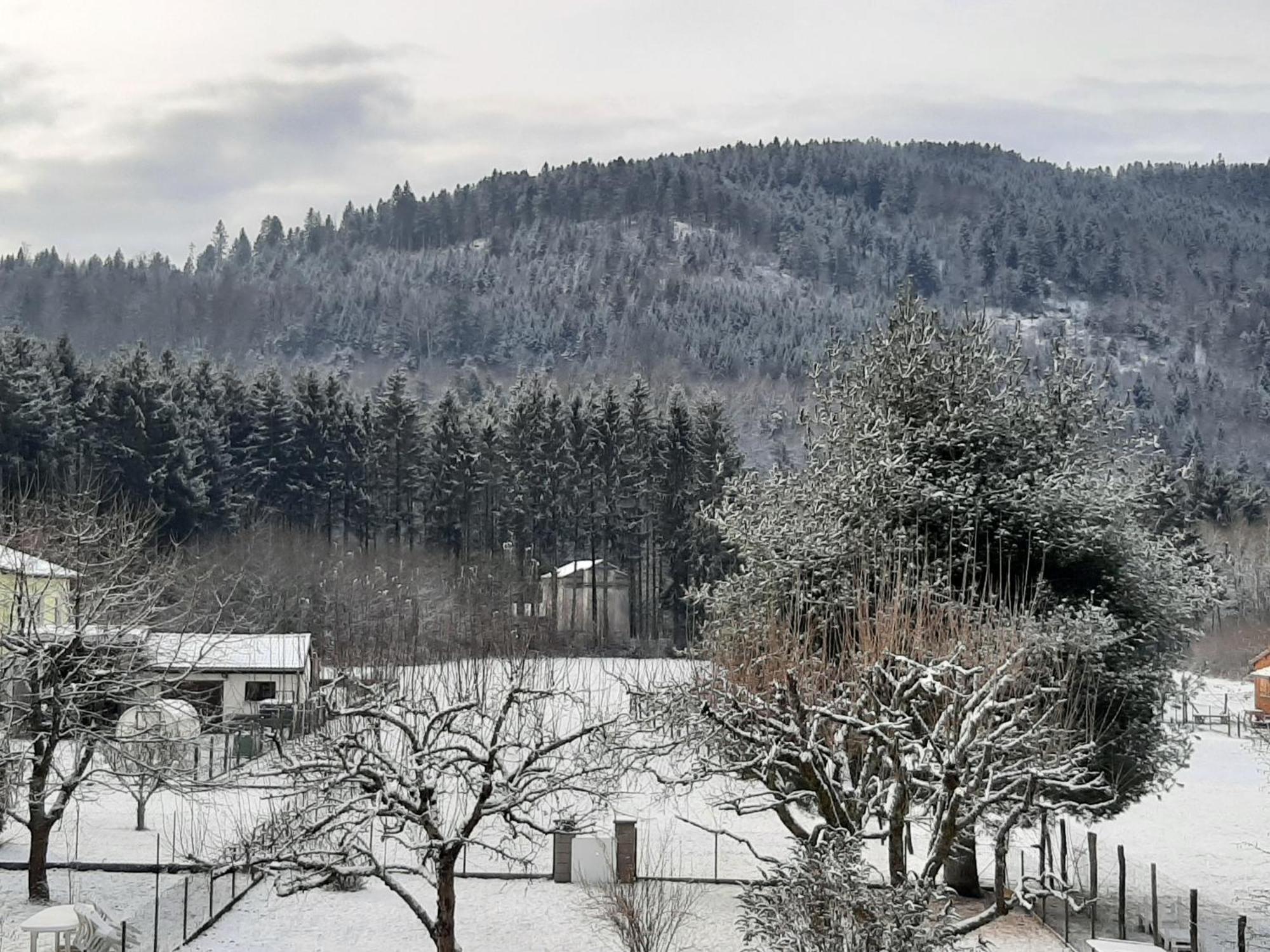 Chez Vovone 3 Etoiles Clevacances Saulxures-sur-Moselotte Exteriér fotografie