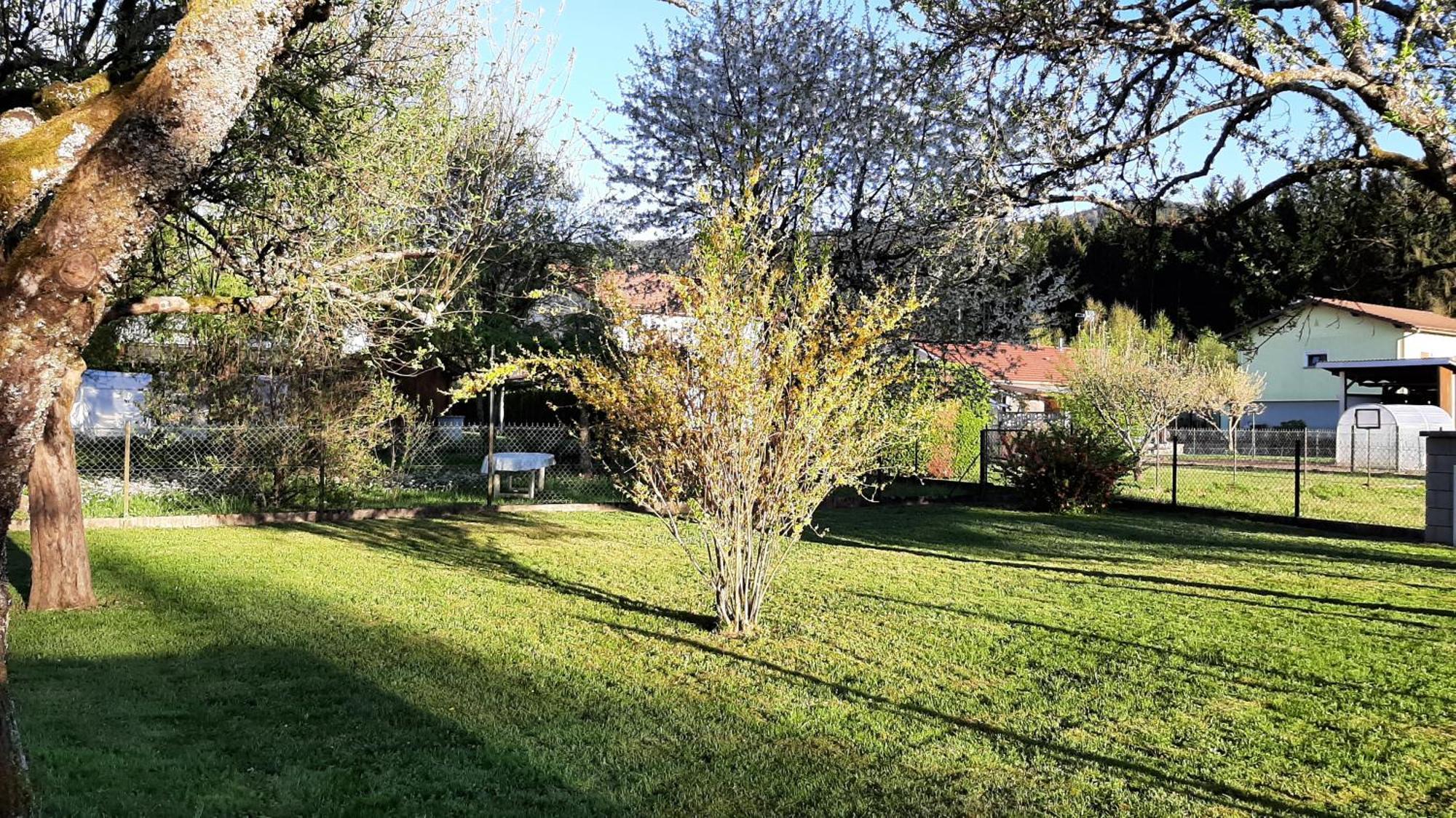Chez Vovone 3 Etoiles Clevacances Saulxures-sur-Moselotte Exteriér fotografie