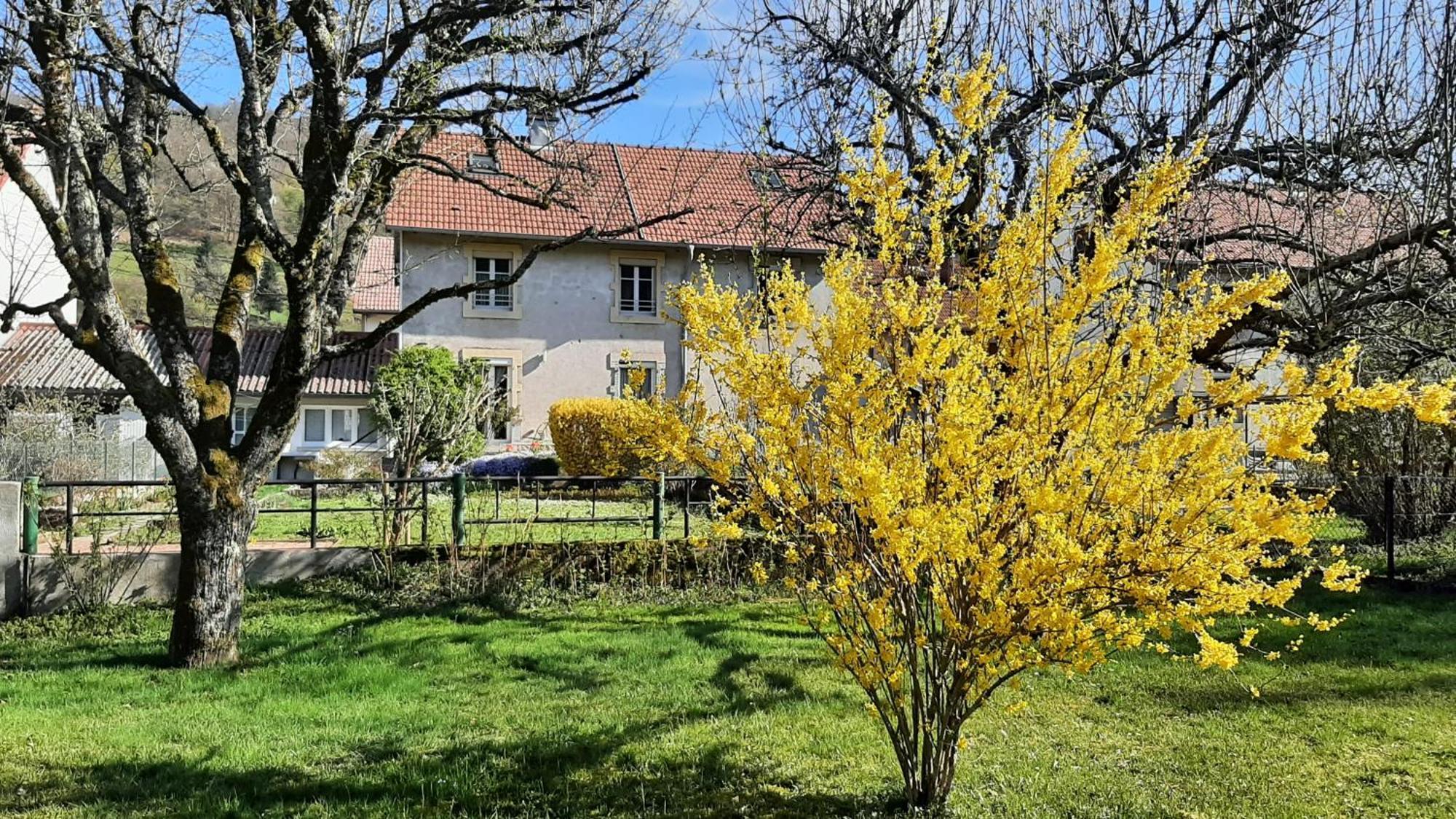 Chez Vovone 3 Etoiles Clevacances Saulxures-sur-Moselotte Exteriér fotografie