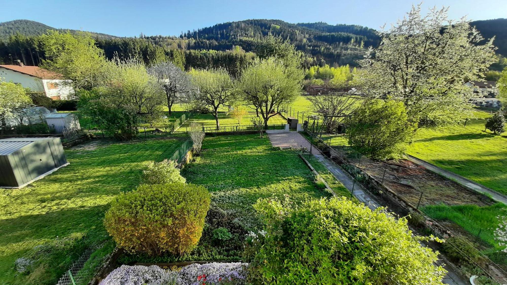 Chez Vovone 3 Etoiles Clevacances Saulxures-sur-Moselotte Exteriér fotografie